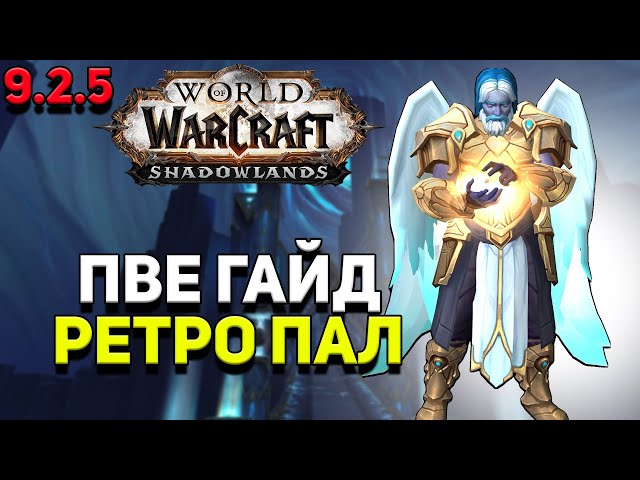 Подробное руководство по игре на ретри паладине PvE в World Of Warcraft Battle For Azeroth