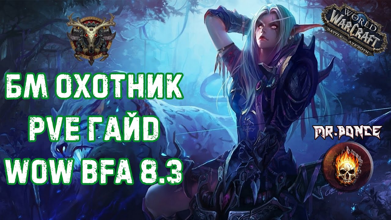 Полезные советы и тактики PvP боя для класса охотник БМ в World of Warcraft Warlords of Draenor