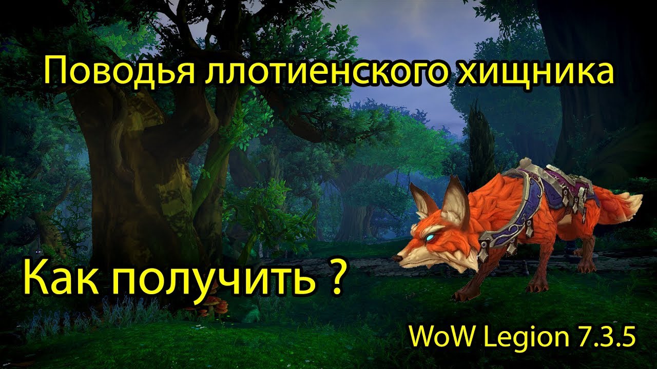 Как получить Ллотиенского хищника в World of Warcraft: Legion: секреты и подсказки для получения маунта - лисы.