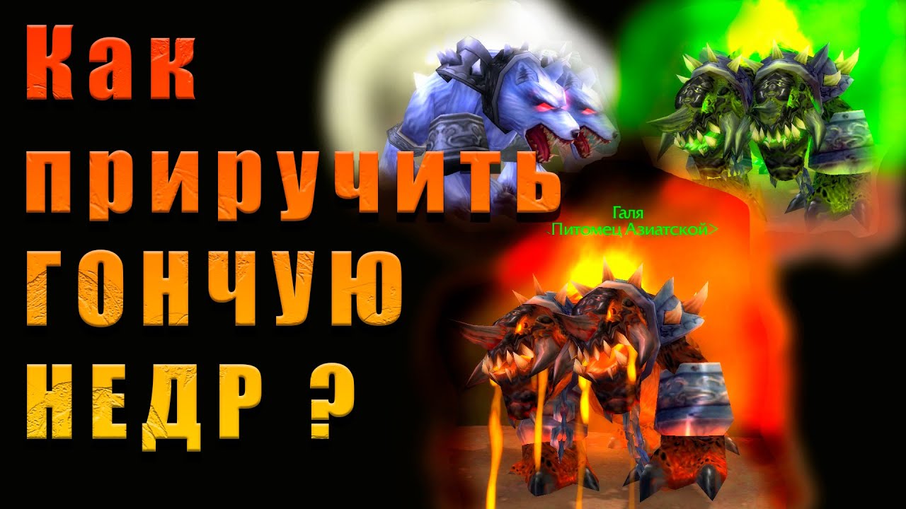 Советы и стратегии для приручения облачного змея в World Of Warcraft охотниками